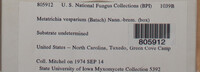 Image Associated With the Occurence